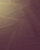 <h2><em>FALL SALE</em></h2>